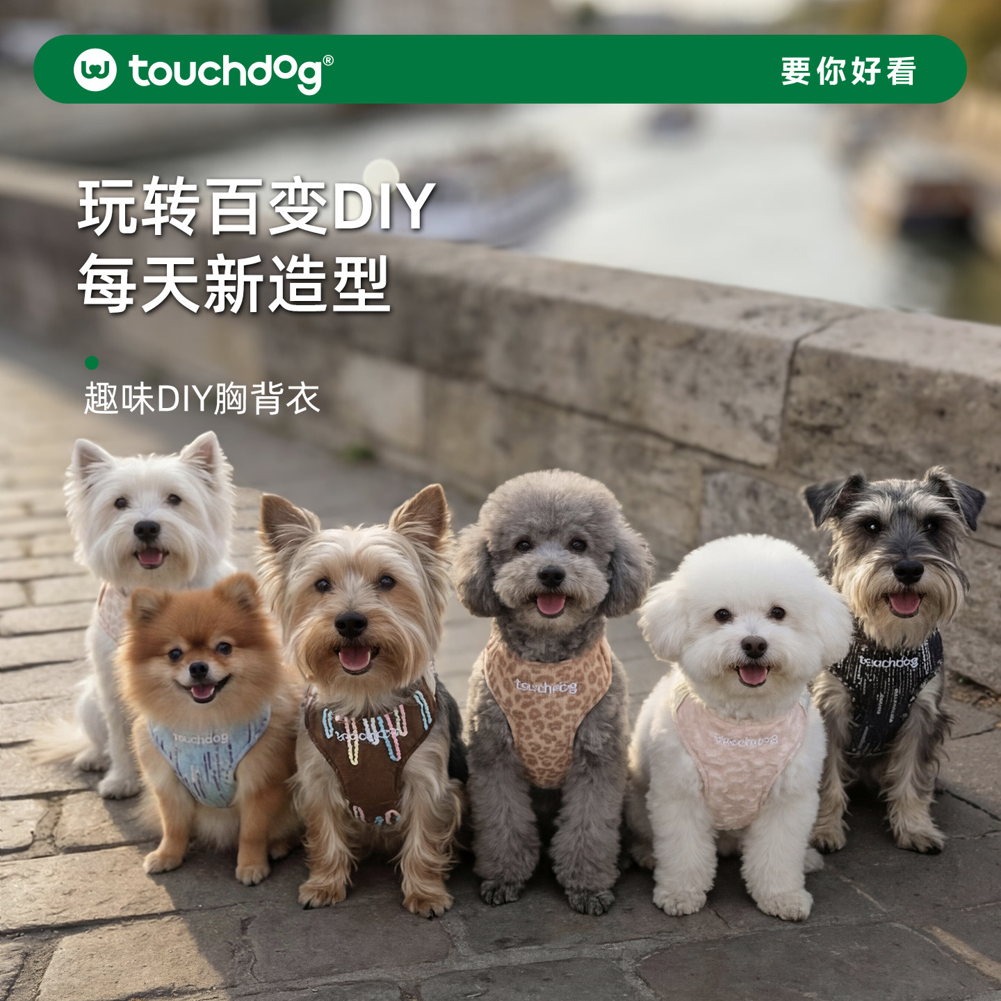 Touchdog它它DIY胸背衣小狗狗背带式牵引绳中小型犬遛狗绳背心式图片