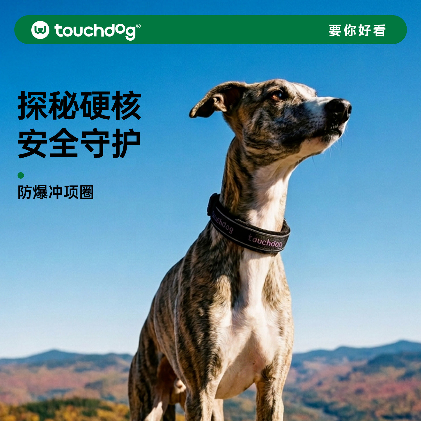 Touchdog它它狗项圈刻字防走丢狗牌宠物脖圈防勒狗颈圈反光牵引绳