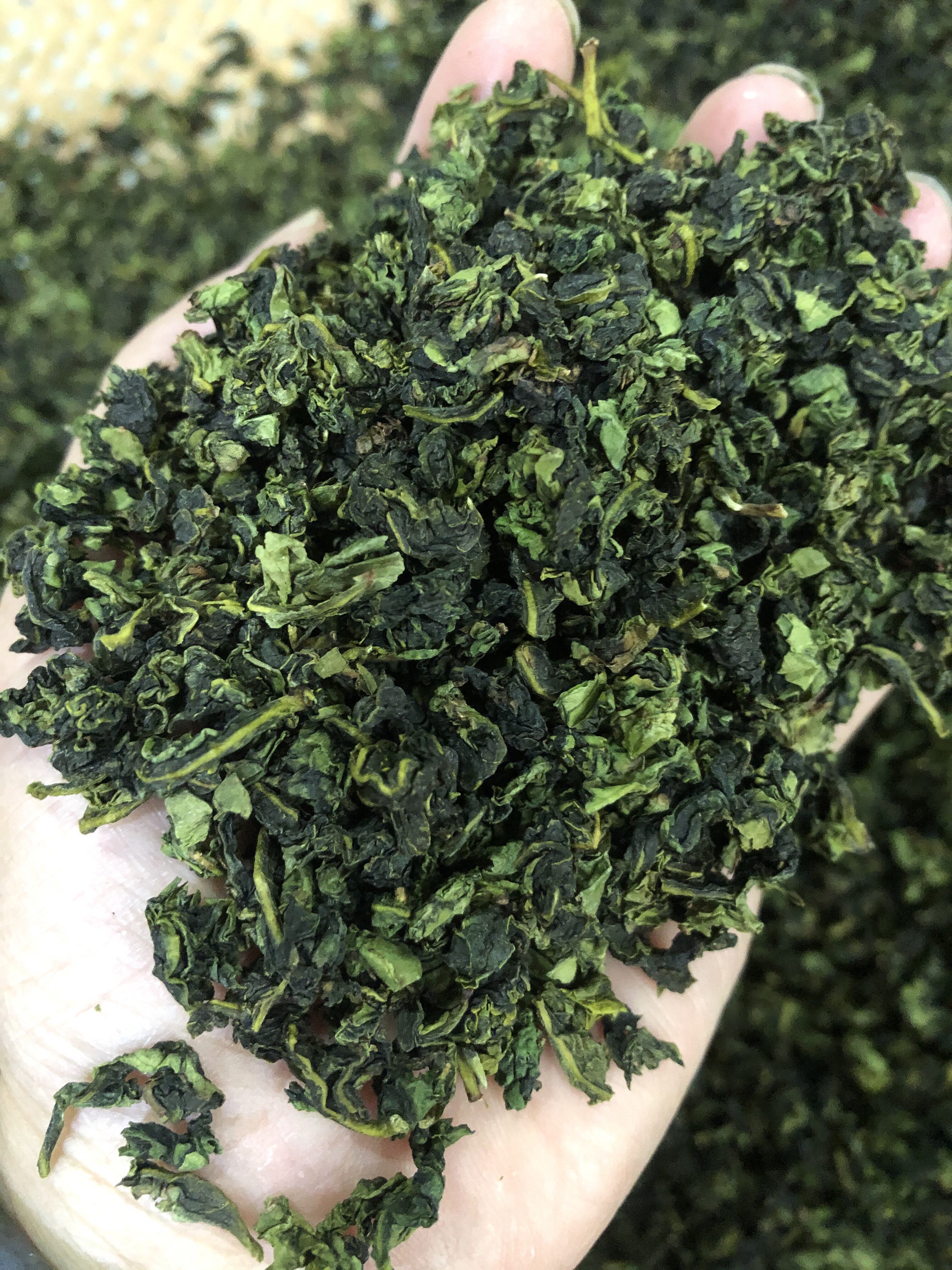 福建乌龙茶铁观音清香型铁观音茶叶