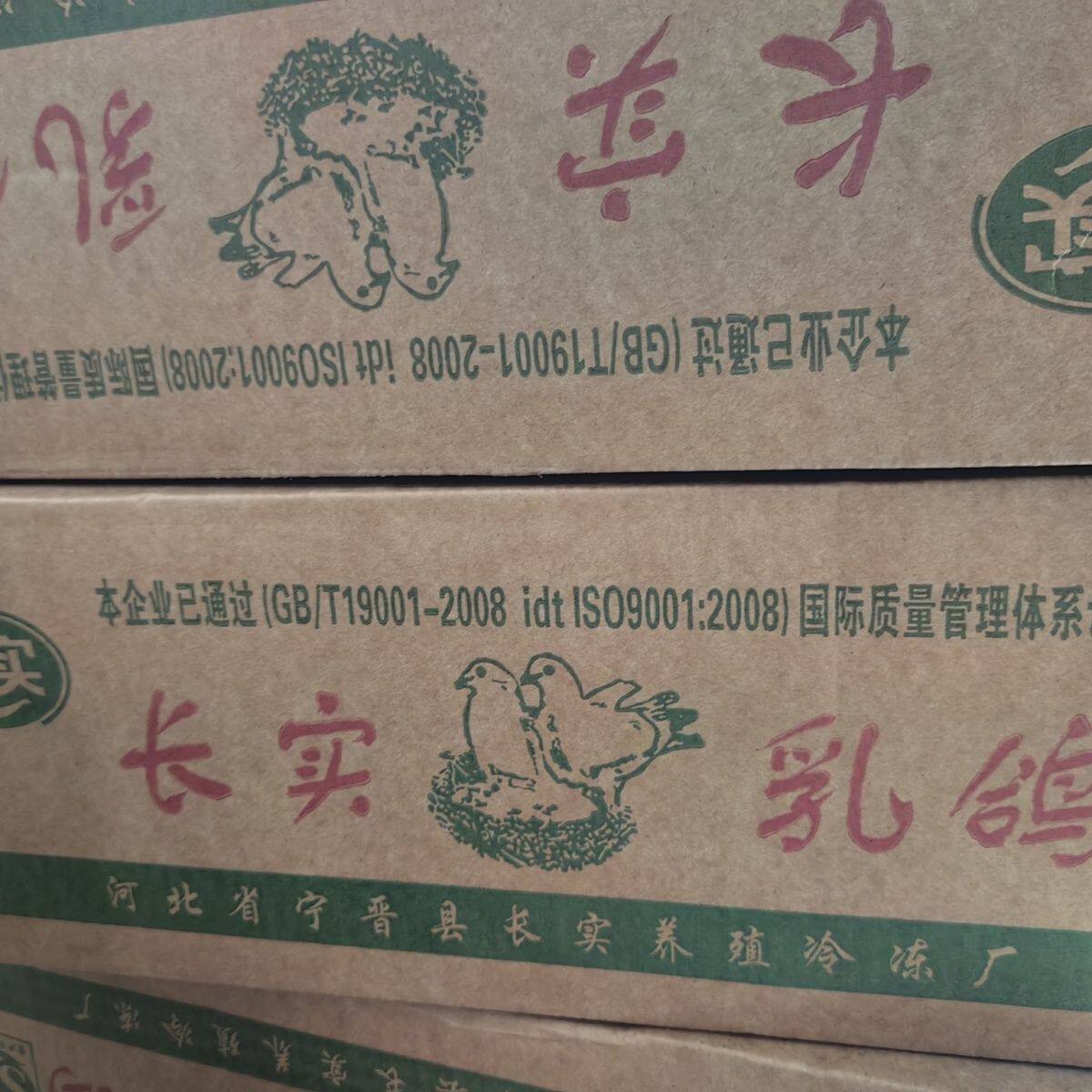 长食原粮乳鸽100只顺丰包邮