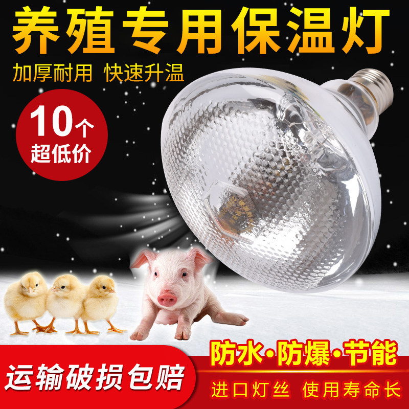 加厚保温灯养殖场专用防水防爆仔猪取暖烤灯小鸡育雏保暖加热灯泡,畜牧/养殖物资,畜牧/养殖器械,淘宝优惠券,粉丝福利购,淘宝优惠卷