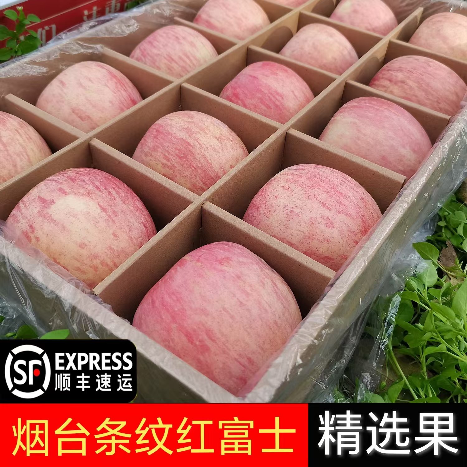 烟台苹果红富士苹果送人特级平安新鲜当季水果年货条纹苹果一级,水产肉类/新鲜蔬果/熟食,苹果,淘宝优惠券,粉丝福利购,淘宝优惠卷