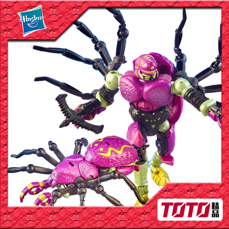 传世进化系列D级狼蛛