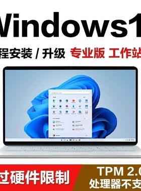 远程重装系统原版纯净专业版win7win10win11系统远程安装系统重装