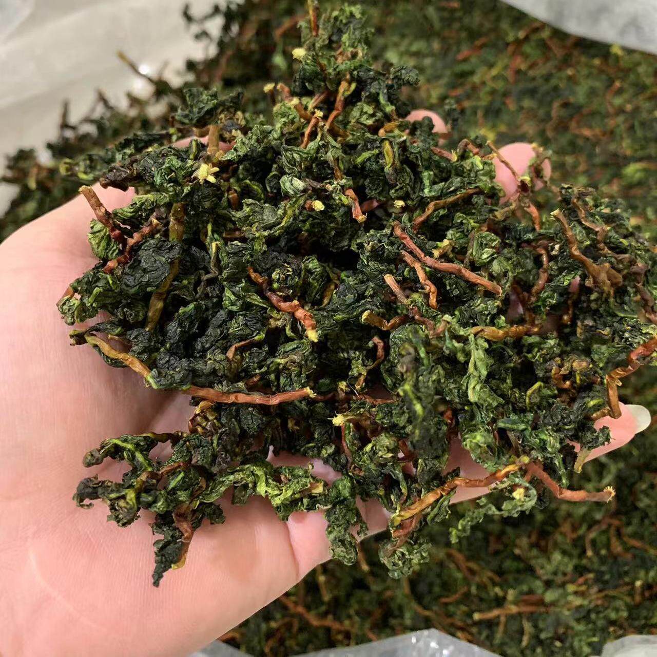 春茶安溪铁观音绿茶湿茶原汁原味浓香型散装茶冰茶兰花香顺丰包邮