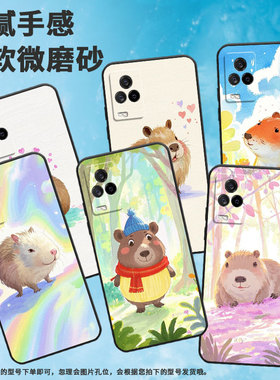 适用iQOO手机壳iQOO3男女V2024A商务iQOO7磨砂壳iQOO9纯黑色iQOO9SE全包V2304A硅胶iQOO13可爱的小水豚保护套