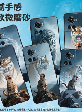 适用一加Ace5手机壳KB2001Ace5Pro防摔一加8T磨砂壳Oneplus10R柿柿如意1+13T耐磨ACEPro商务PGZ110保护套