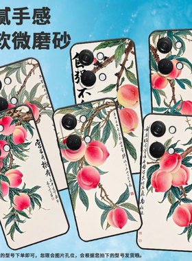 适用一加NordN300手机壳Nord2T商务CE2树枝上桃子GN2200硅胶OneplusNordCE2Lite耐磨CE3保护套CPH2467软壳