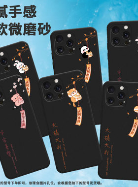 适用iPhone苹果16pro手机壳16promax/se4/16e硅胶A3294大橘大利耐磨in风熊猫磨砂猫咪高级感时尚平安喜乐简约