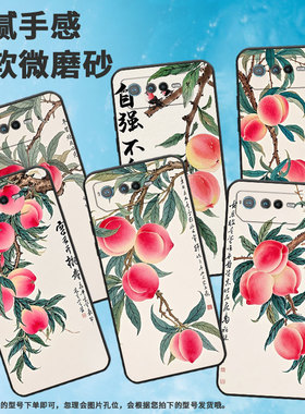 适用华硕ROG6手机壳AI2201_D全包9Pro软壳AsusROGPhone8耐磨ROG8Pro商务水彩桃子AI2205_C硅胶ROG9保护套