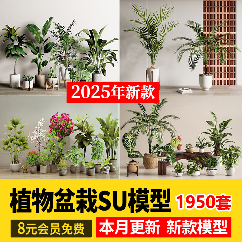 绿植植物花盆盆栽盆景松树单体草图大师SU模型室内花卉花草素材库图片