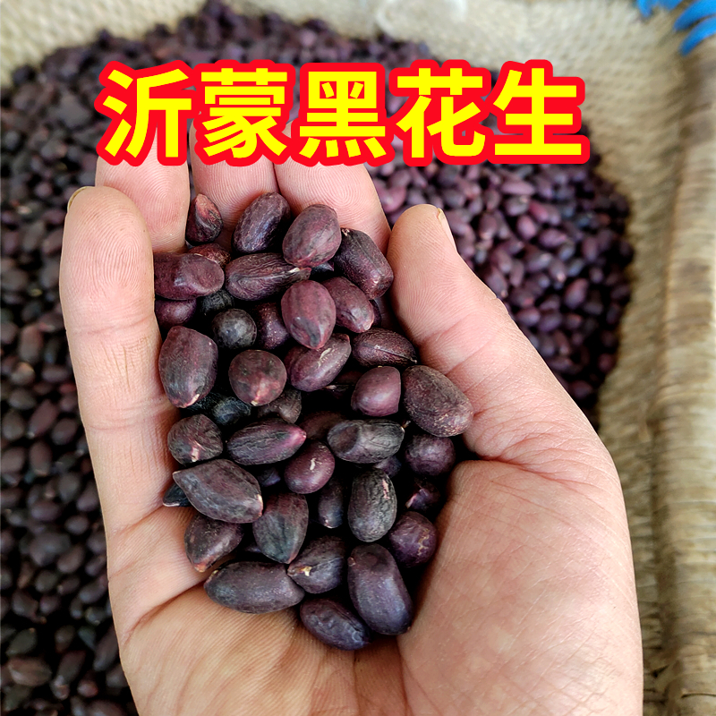 25年山东大粒黑花生米生的新货去壳带壳小粒黑皮种籽500g农家晒干