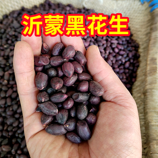 25年山东大粒黑花生米生的新货去壳带壳小粒黑皮种籽500g农家晒干