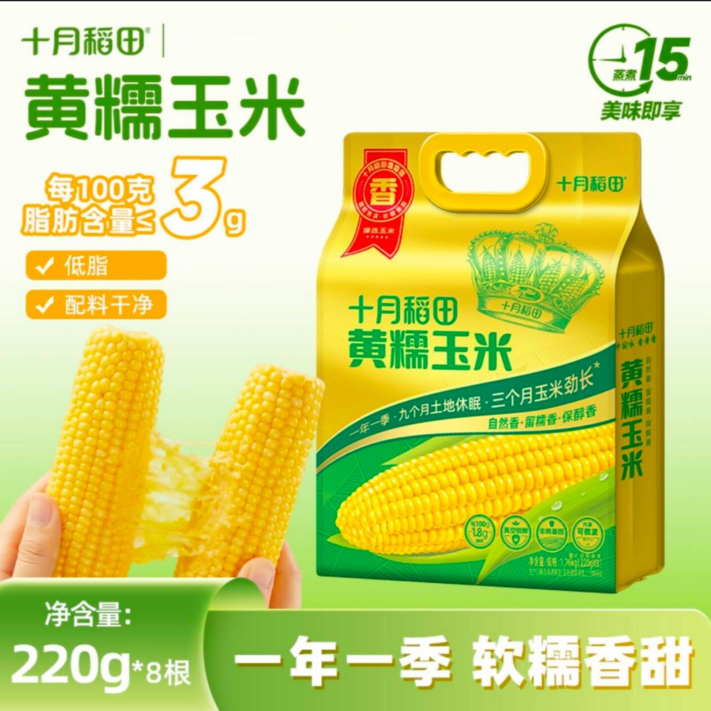 十月稻田黄糯玉米拇指玉米