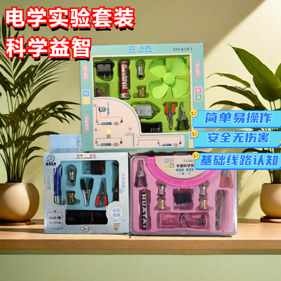 科学实验迷你小灯泡发光手工div电路实验器材套装四年级小学物理