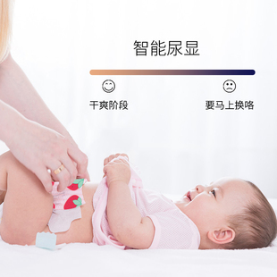 纸尿裤 屁屁熊婴儿夏季 M超薄L透气干爽宝宝XL拉拉学步裤 尿不湿XXL