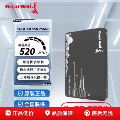 长城固态硬盘2.5寸SATA3.0接口256/512GB台式机笔记本高速SSD扩容