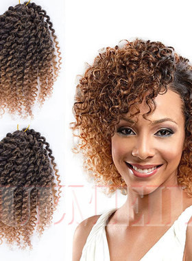 Afro Kinky Curly Twist Marley Crochet Braids Hair  脏辫 假发