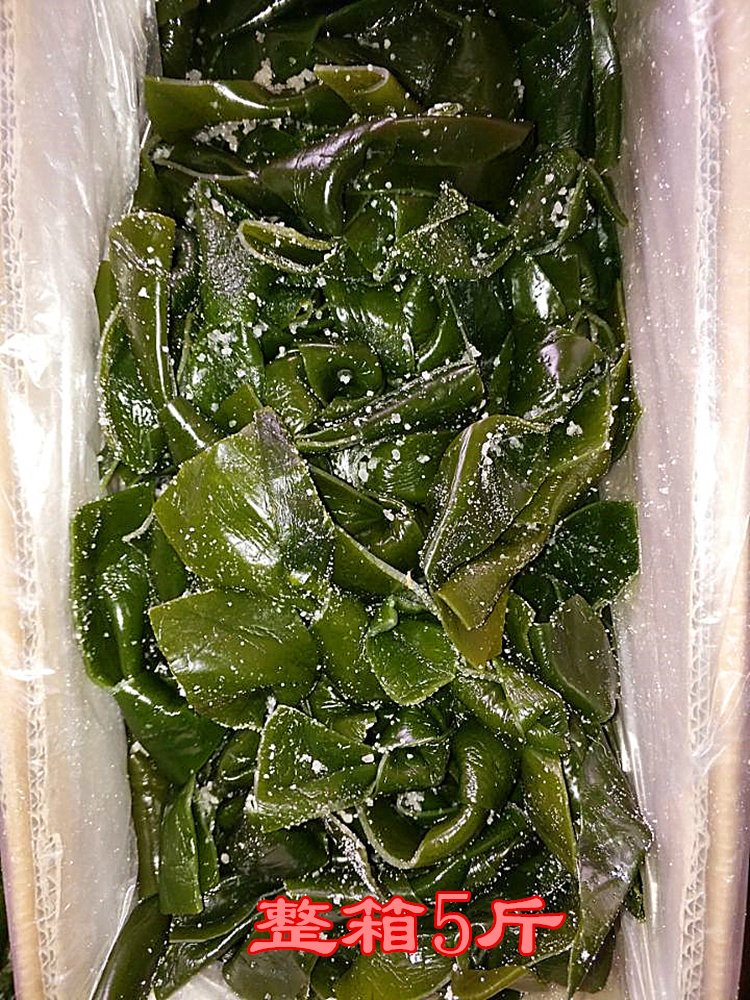 大连特产五斤无沙盐渍新鲜海白菜盐渍裙带菜海裙菜非干货海藻包邮