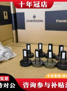 议价Fisher/费希尔GE04535X012角行程磁条，带可维修