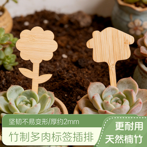 竹子园艺插牌多肉植物标签插泥土竹牌竹片景观标识牌配笔外贸T型