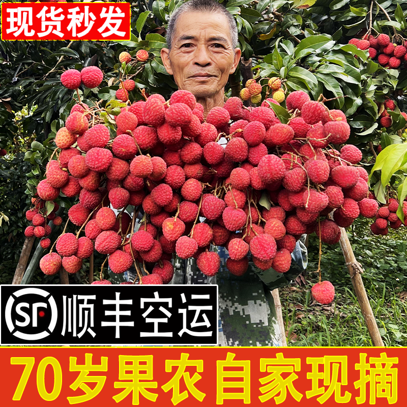 白糖婴荔枝新鲜现发进奉农家水果顺丰空运5斤冰荔鸡嘴观音绿糯米