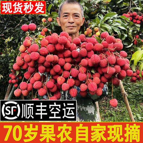 桂味荔枝新鲜现发进奉农家水果顺丰空运5斤冰荔鸡嘴观音绿糯米