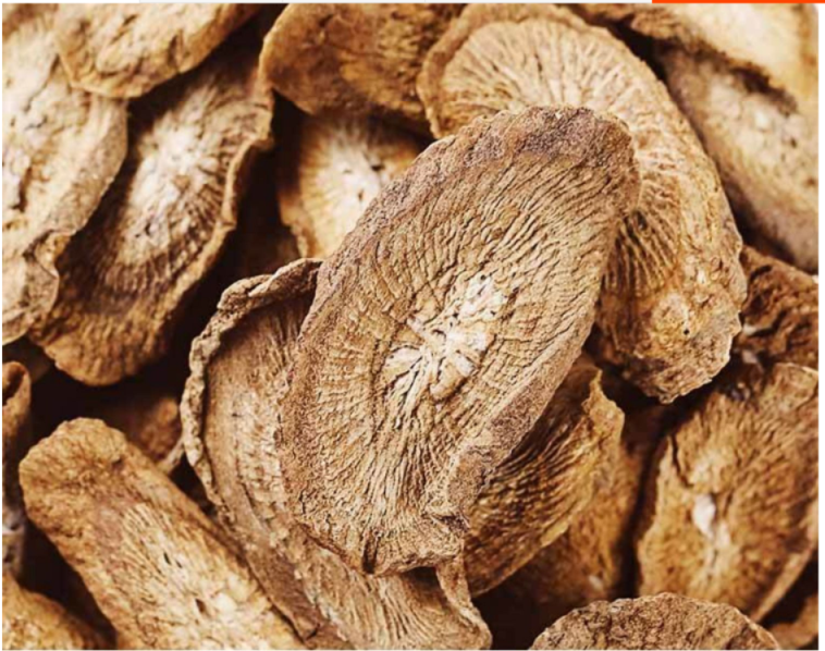 特级大片牛蒡茶正品包邮野生黄金牛蒡根片牛旁根的功效中药材调理