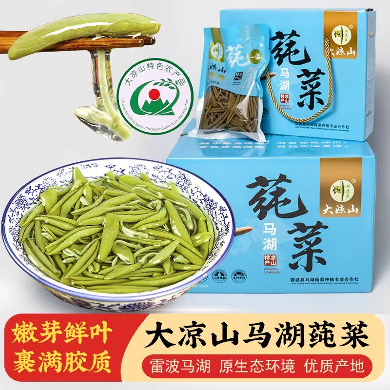 四川大凉山特产雷波马湖莼菜新鲜嫩芽马蹄菜野菜250gx4袋产地直发