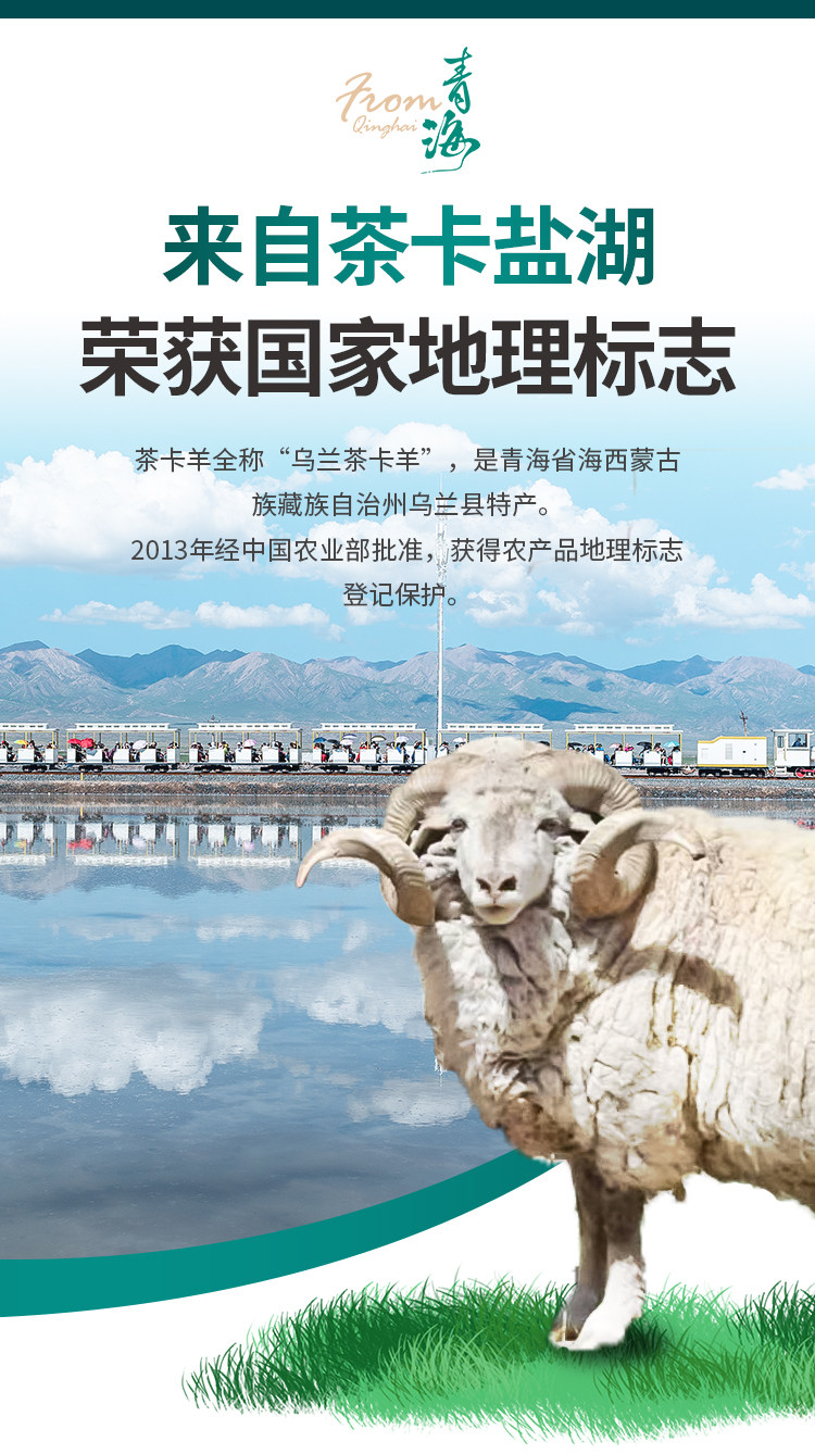 From青海茶卡贡羊肋排国产原切新鲜现杀草原藏羊肋排烧烤产地直发