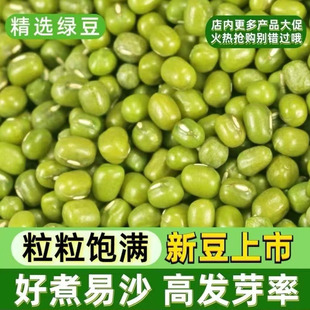 东北绿豆新货农家自产可发芽杂粮绿豆汤易出沙豆芽商贸水培专用