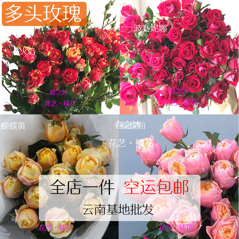 【春之沐】新鲜狂欢蔷薇香槟戚薇粉红红星巧克力泡泡玫瑰鲜花插