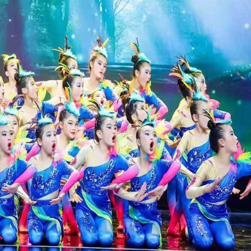 小荷风采《荫中鸟语》儿童演出服装幼儿园舞蹈鸟服吉祥鸟彩色鸟仔