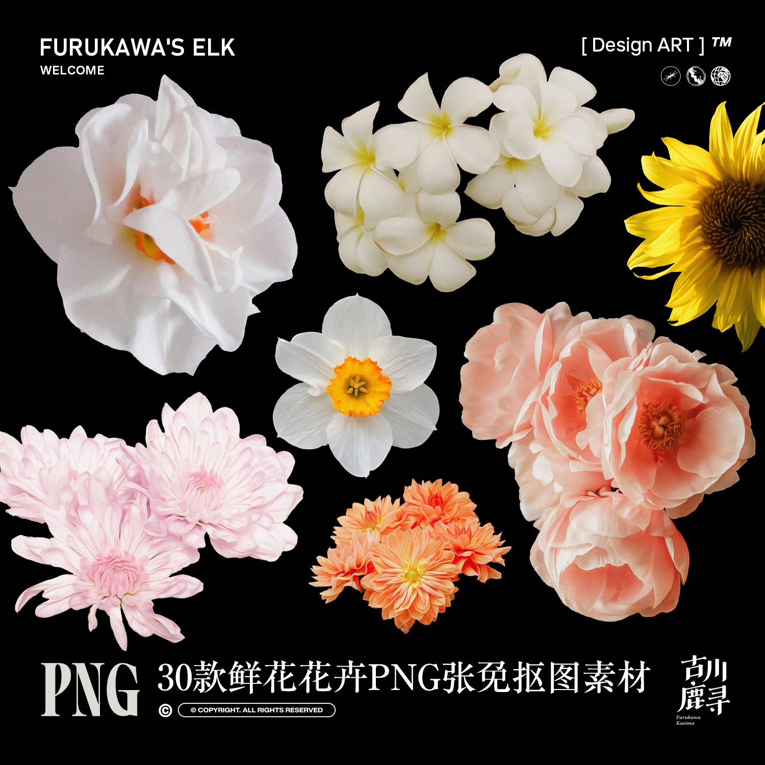 30款各类真实质感鲜花卉花朵海报拼贴元素PNG免抠图平面设计素材