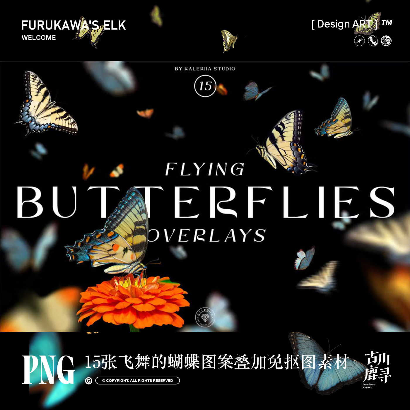 15张飞舞的蝴蝶照片叠加图案电子手账装饰元素PNG免抠图设计素材图片