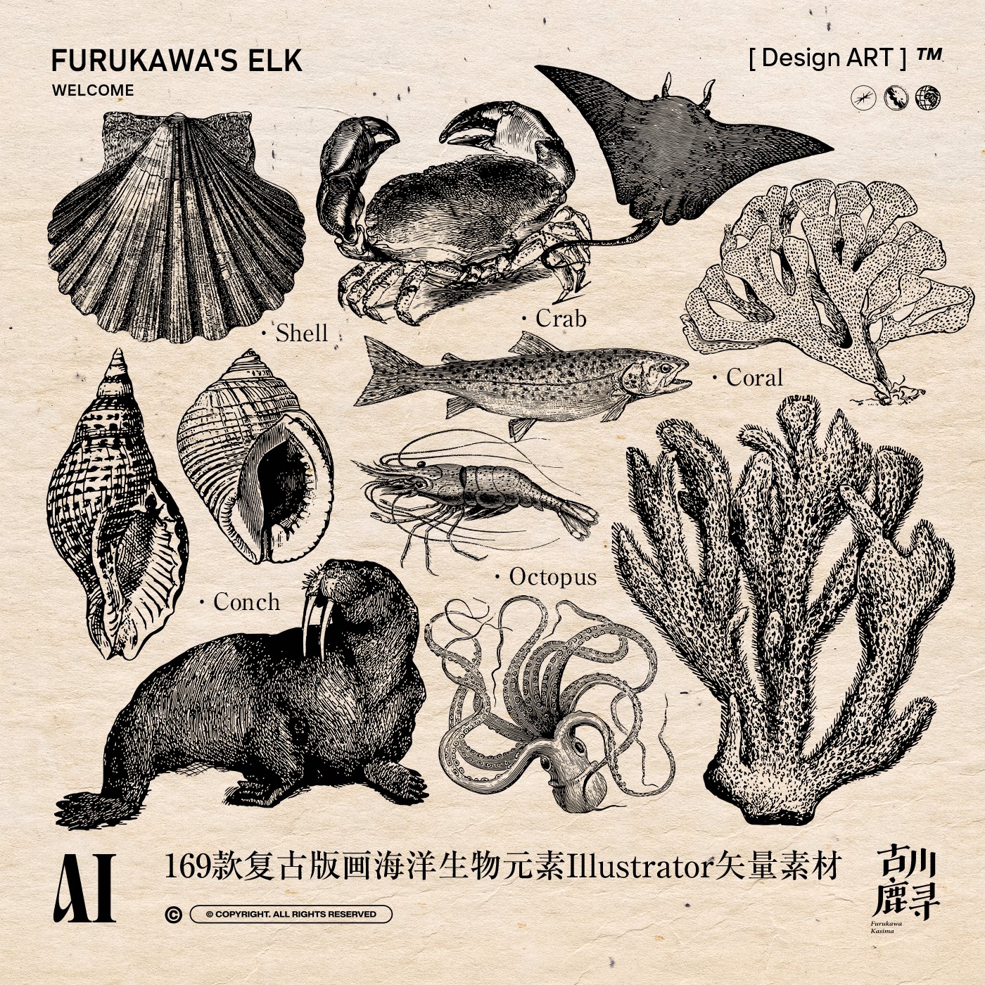 169款复古雕刻版画风格海洋贝壳动物AI矢量文件品牌平面设计素材