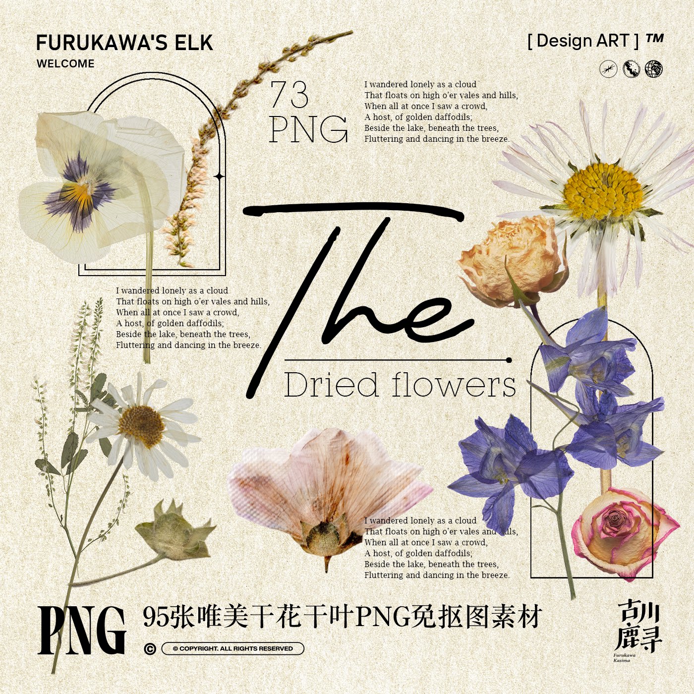 95款文艺干花卉花玫瑰雏菊情绪版手帐拼贴元素PNG免抠图设计素材图片
