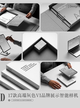 17款高端灰色商业物品VI品牌提案展示PS MOCKUP智能样机设计素材