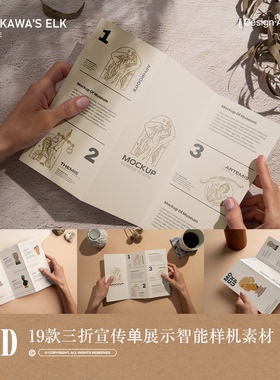 19款北欧风格三折宣传页广告提案展示PSD MOCKUP智能样机设计素材
