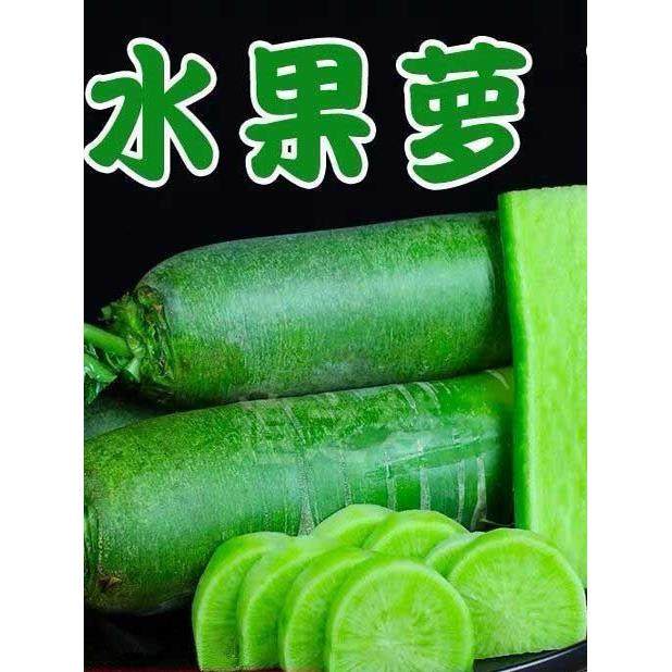 冰糖水果萝卜生吃脆甜农家蔬菜四季高产易播种阳台盆栽沙窝绿萝卜,鲜花速递/花卉仿真/绿植园艺,家庭园艺种子,淘宝优惠券,粉丝福利购,淘宝优惠卷