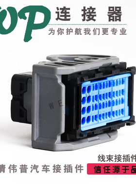 48芯汽车发动机电脑板 DJ7482B-1.5/2.8-21 蓝色不含端子