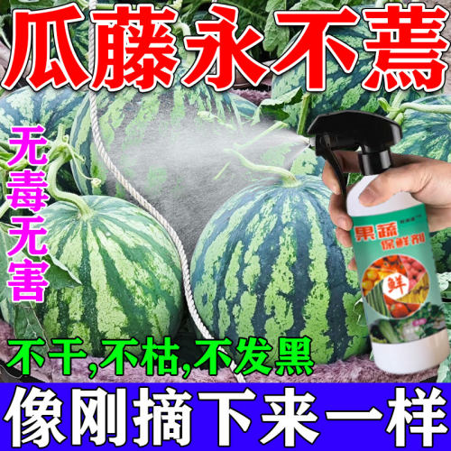 水果蔬菜专用防腐保鲜剂抗氧化无毒害防烂蔫延长储存喷雾浸泡液