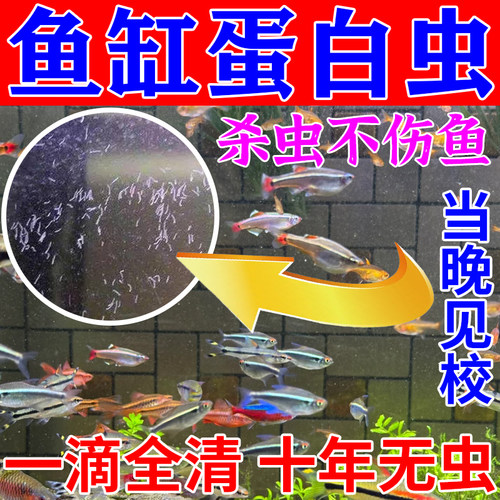 鱼缸除蛋白虫鱼池观赏鱼除寄生虫杀菌敌百虫锦鲤鱼病专用清除剂MD