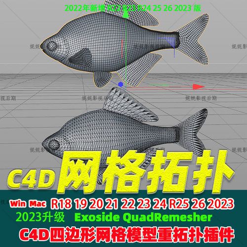 新C4D四边形网格重拓扑插件 Exoside QuadRemesher插件R18-2023