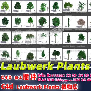 Kit插件 汉化 Plants Laubwerk C4D植物插件 c4d树木园林插件