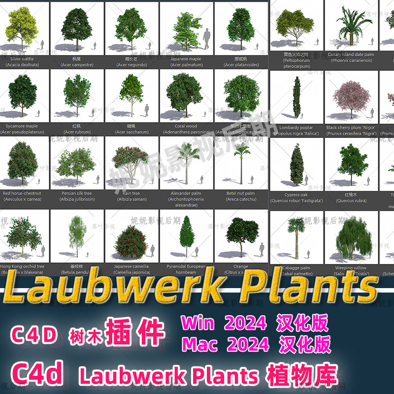 2024专用C4D植物插件 c4d树木园林插件 Laubwerk Plants Kit插件