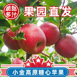 正宗小金苹果四川阿坝产地直发儿童孕妇水果酸甜脆冰糖心4.5-20斤