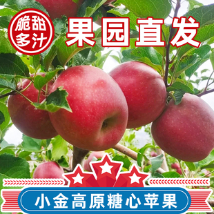 正宗小金苹果四川阿坝产地直发儿童孕妇水果酸甜脆冰糖心4.5-20斤
