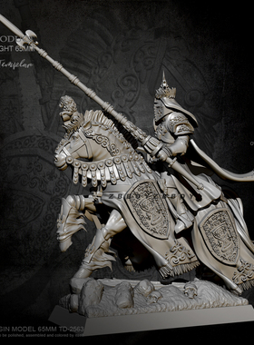 H65mm ZBBOY监制 圣殿骑士2  树脂兵人白模 TD-2563