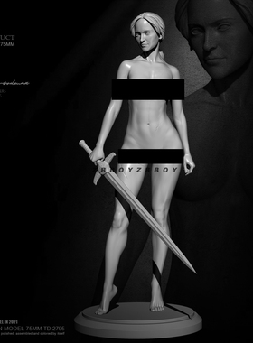 75mm  ZBBOY监制 女骑士艺术版  树脂手办 女兵人 白模 TD-2795